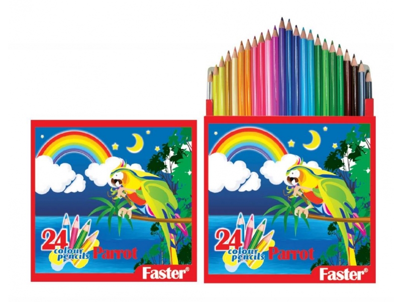 PARROT COLOUR PENCILS 24L