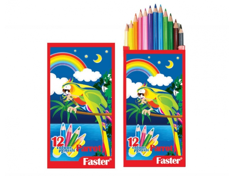PARROT COLOUR PENCILS 12L